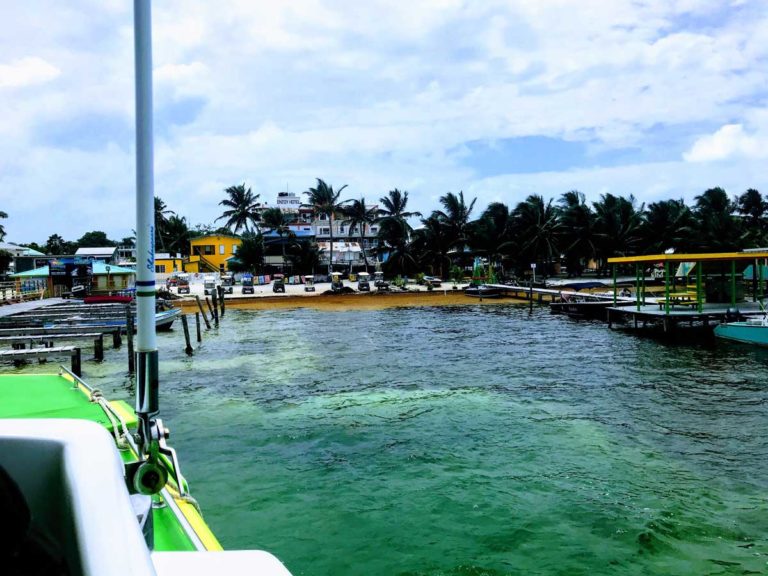 Book Your Ferry to Caye Caulker San Pedro Belize Express Water Taxi